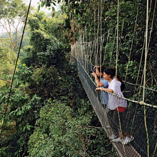 Taman Negara Canopy Walk taman negara cameron highlands