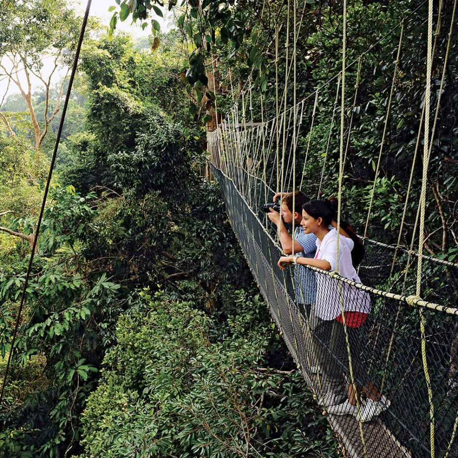 taman negara cameron highlands