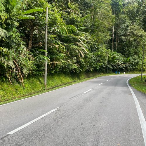 Road to Cameron Highlands road to Cameron Highlands