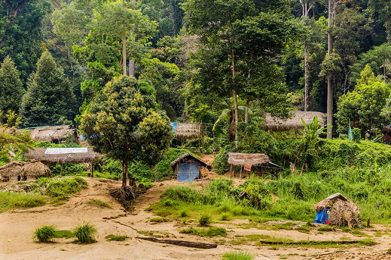 Traditional huts in an Orang Asli village surrounded by jungle in Taman Negara