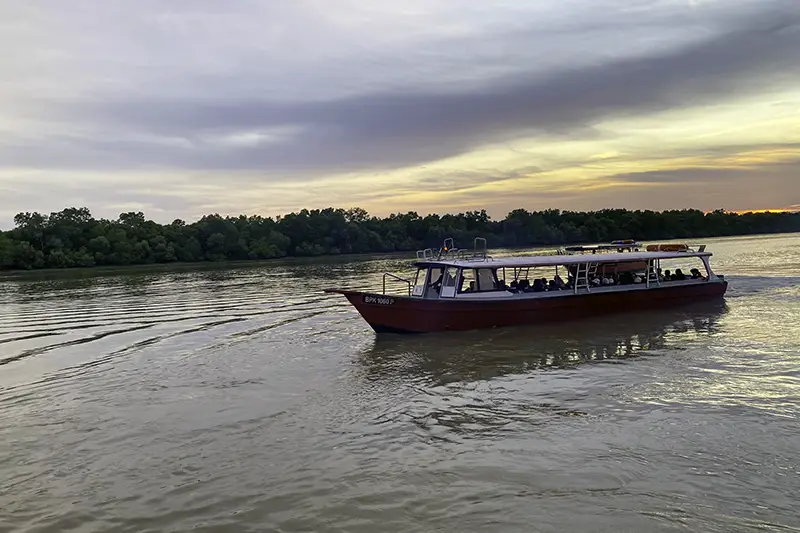 Boat tour departing at sunset for Kuala Selangor fireflies watching experience