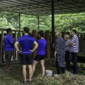 Nature guide leading an educational session for tourists at Kuala Gandah Elephant Sanctuary Tour in Malaysia.