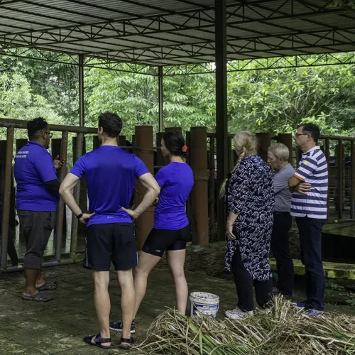 Kuala Gandah Elephant Sanctuary Tour – Educational Nature Guide Session Nature guide leading an educational session for tourists at Kuala Gandah Elephant Sanctuary Tour in Malaysia.