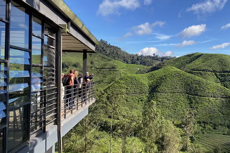 Tourists enjoying the panoramic view from BOH Tea Centre during a day tour to Cameron Highlands.
