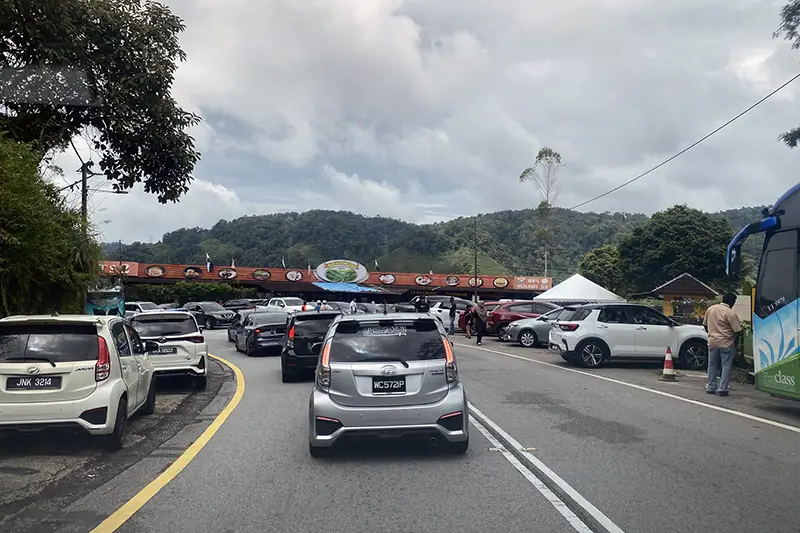 how to get to cameron highlands from kuala lumpur by car