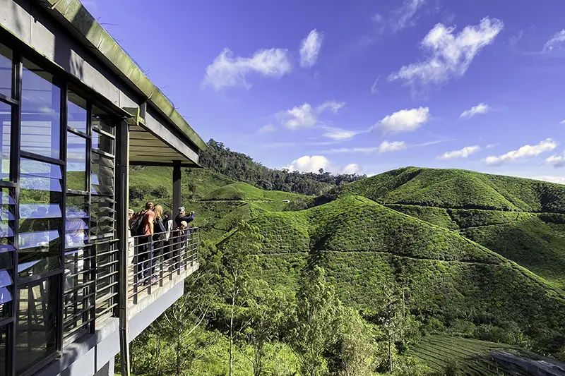Tourists enjoying scenic views from the viewing deck at BOH Tea Centre Sungei Palas