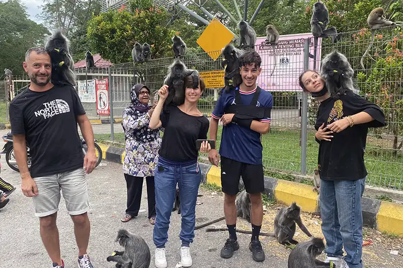Tourists interacting with Silvered Leaf Monkeys in Kuala Selangor – Malaysia wildlife attraction