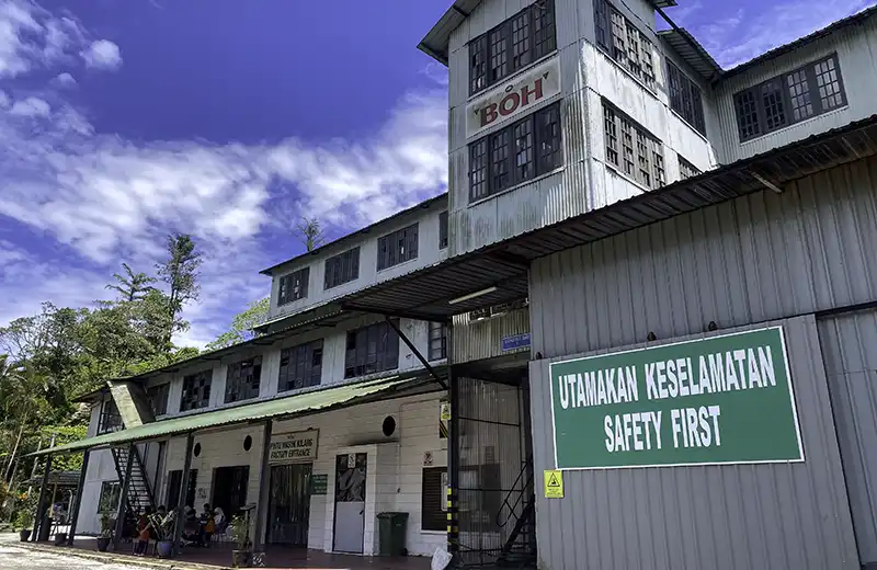 Habu BOH Tea Factory in Cameron Highlands Malaysia