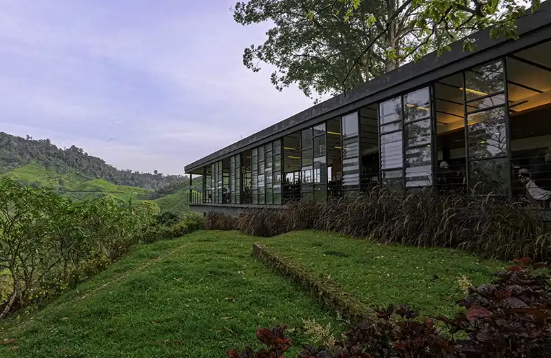 Sungai Palas BOH Tea Plantation in Cameron Highlands, Malaysia