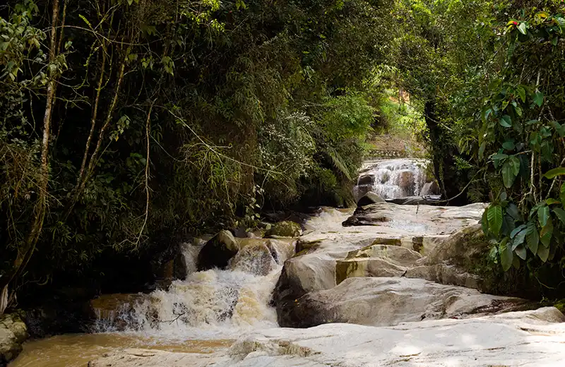 Robinson Falls waterfall surrounded by forest in Cameron Highlands