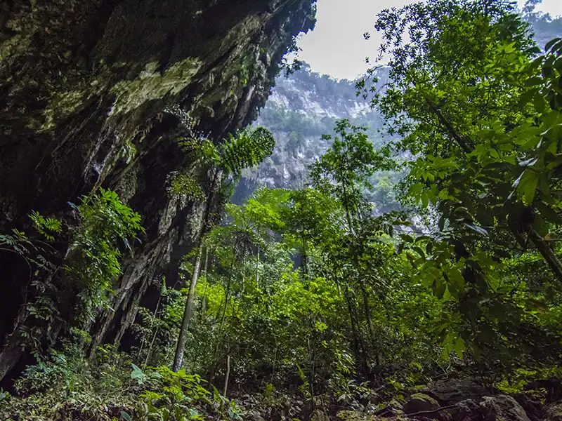 Rainforest and river landscape in Taman Negara, one of the national parks in Malaysia