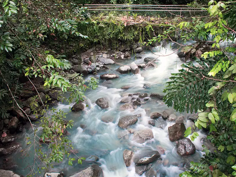 Kinabalu Park national park in Sabah Malaysia