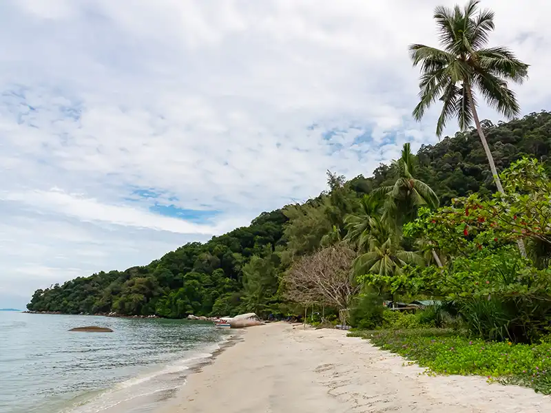 Penang national park among the smallest national parks in malaysia