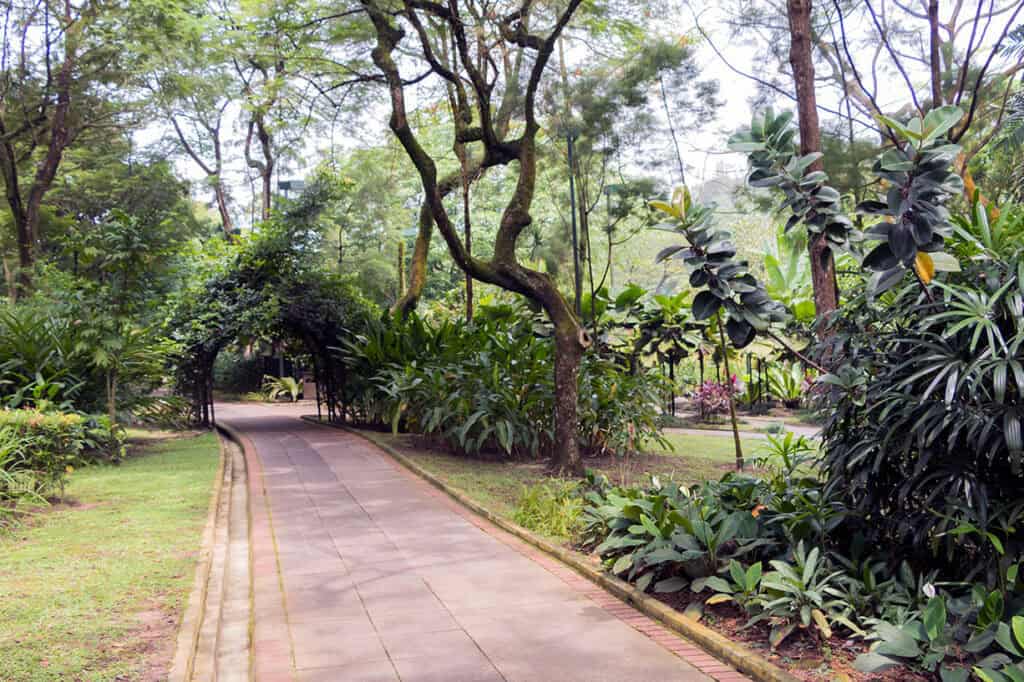 Shaded walking path through lush tropical greenery at Perdana Botanical Gardens — a peaceful Kuala Lumpur activity for visitors who want a slower morning