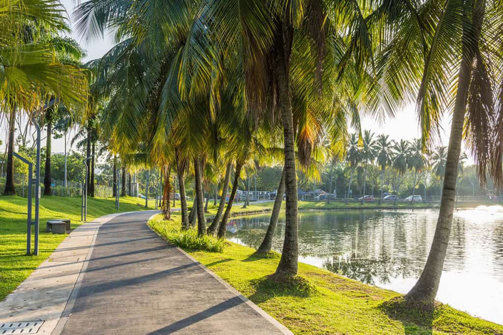 Palm-lined lakeside walking path at Titiwangsa Lake Gardens — one of the best free things to do in KL for a relaxed morning with skyline views