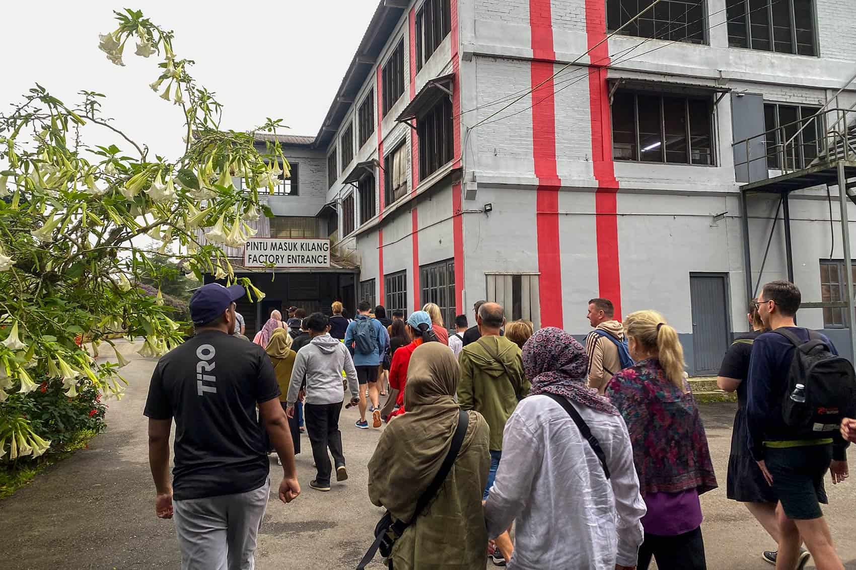 Large crowd of tourists entering the BOH Sungei Palas tea factory in Cameron Highlands during a busy visiting period