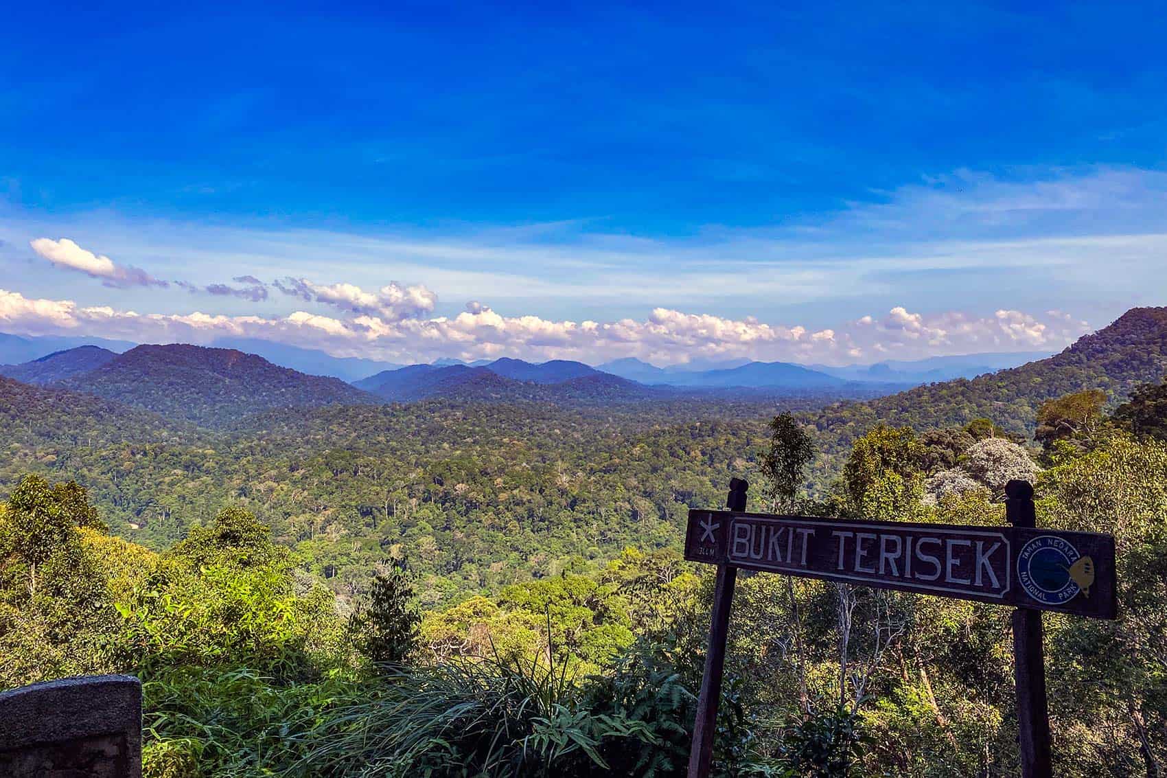 View from Bukit Teresek viewpoint at 344 metres showing the ancient rainforest canopy stretching toward the Titiwangsa mountain range and Gunung Tahan — the most rewarding jungle trek for day visitors in Taman Negara Kuala Tahan