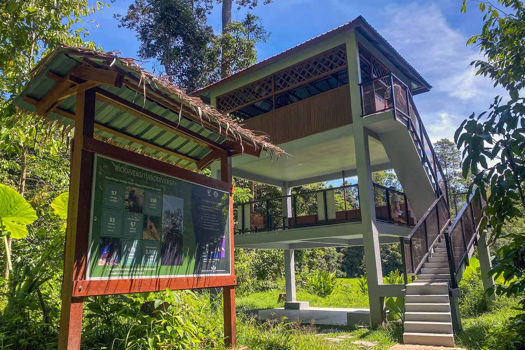 A bumbun wildlife observation hide raised on stilts in the Taman Negara jungle, with a biodiversity information board showing species recorded in the park