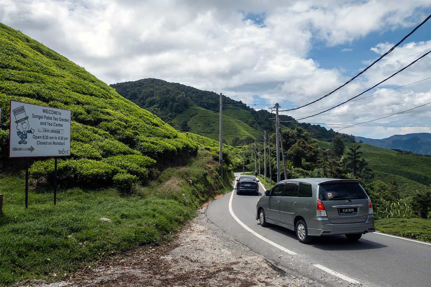 Narrow single-lane road leading to BOH Sungei Palas Tea Garden and Tea Centre in Cameron Highlands, accessible only by small vehicles
