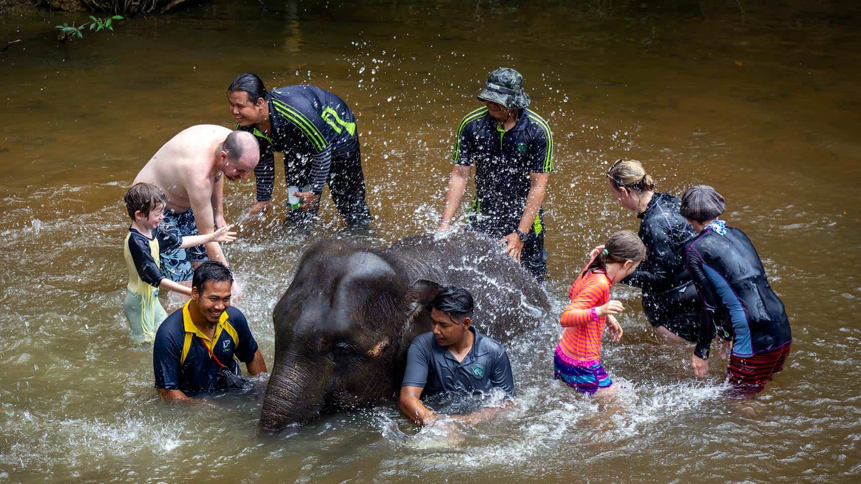 Family bathing with baby elephant at Kuala Gandah Elephant Sanctuary — the most memorable thing to do at Kuala Gandah with nature guides supervising in the river