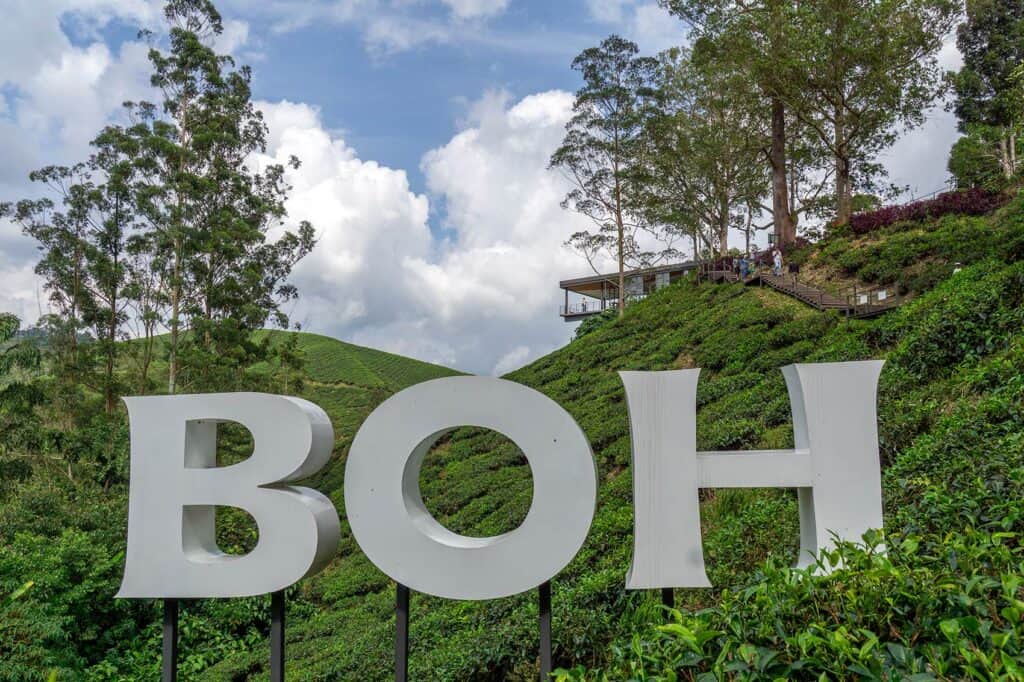 Getting to Cameron Highlands from Kuala Lumpur by private day tour — visiting Sungei Palas BOH Tea Plantation, one of the top attractions in the highlands