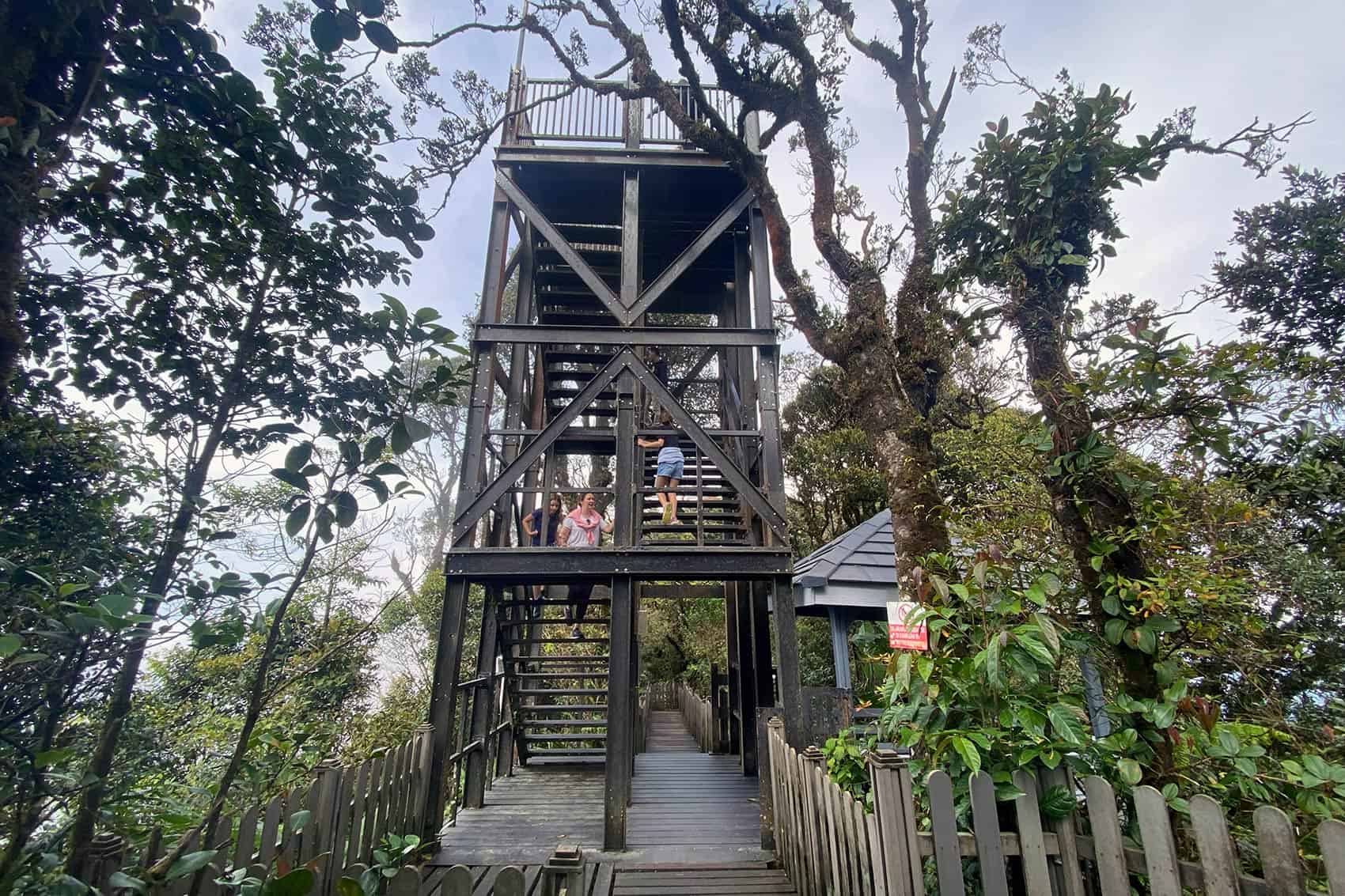 The observation tower at the Mossy Forest, Gunung Brinchang summit, Cameron Highlands