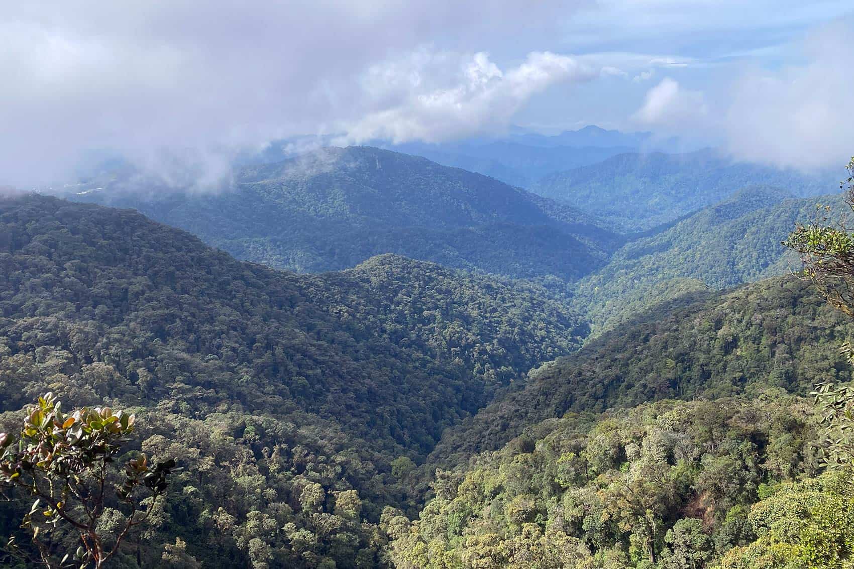 View of the Titiwangsa Range from the observation tower at Taman Eko Rimba Mossy Forest, Gunung Brinchang, Cameron Highlands
